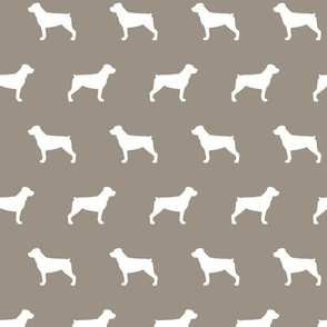 Rottweiler on Warm Grey Background