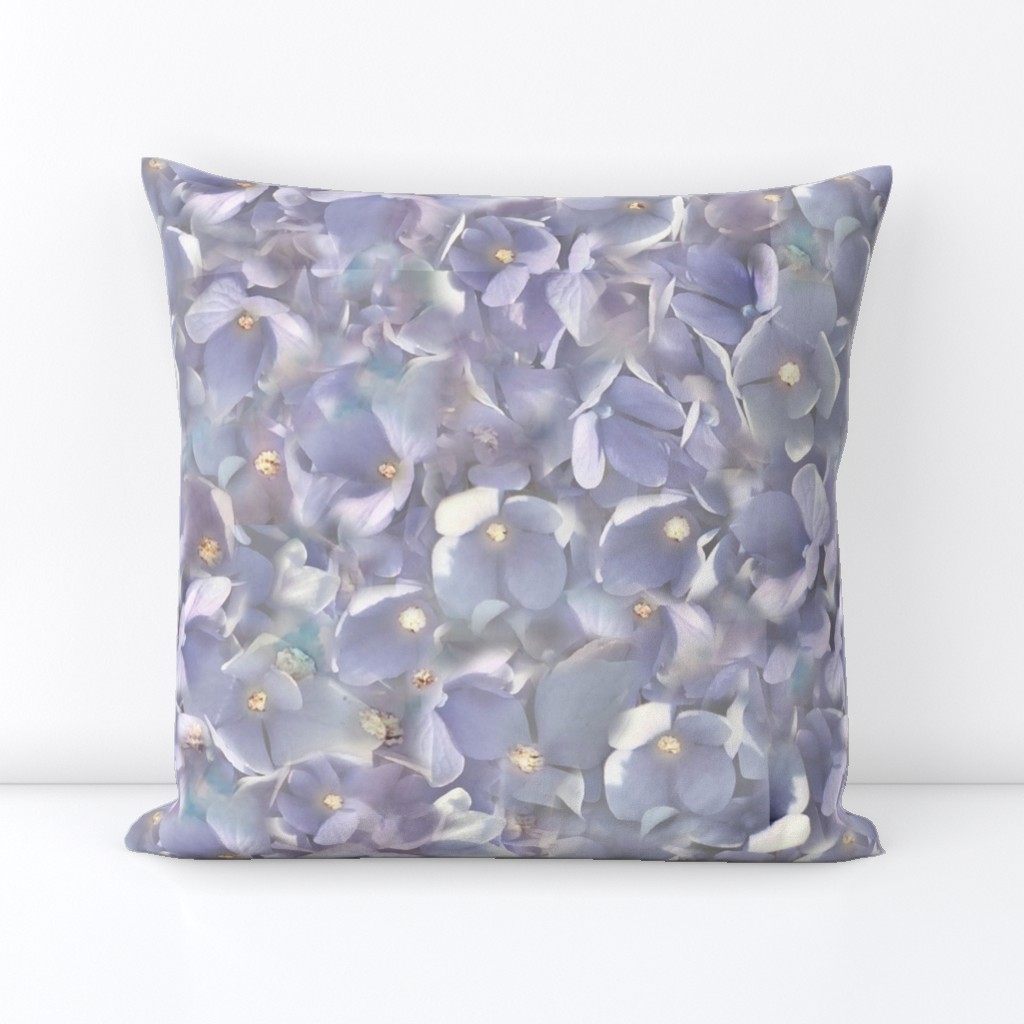 Lilac Hydrangea 