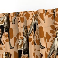 American Fox Hound fabric