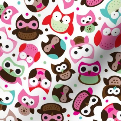 Colorful owls summer birds little girls illustration design