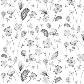 Wildflower Sketch Black White // large