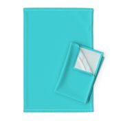 Abstract Turquoise Solid