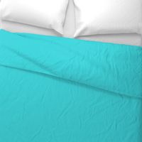 Abstract Turquoise Solid