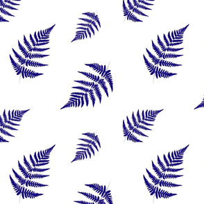 Dark Blue Fern