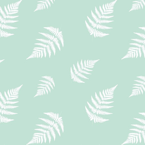 Fern White - Mint Background 