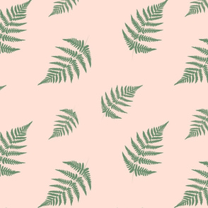 Green Fern - Coral Background