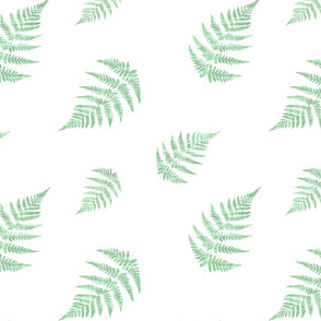 Fern Green Texture