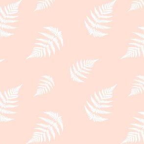 White Fern - Coral Background 