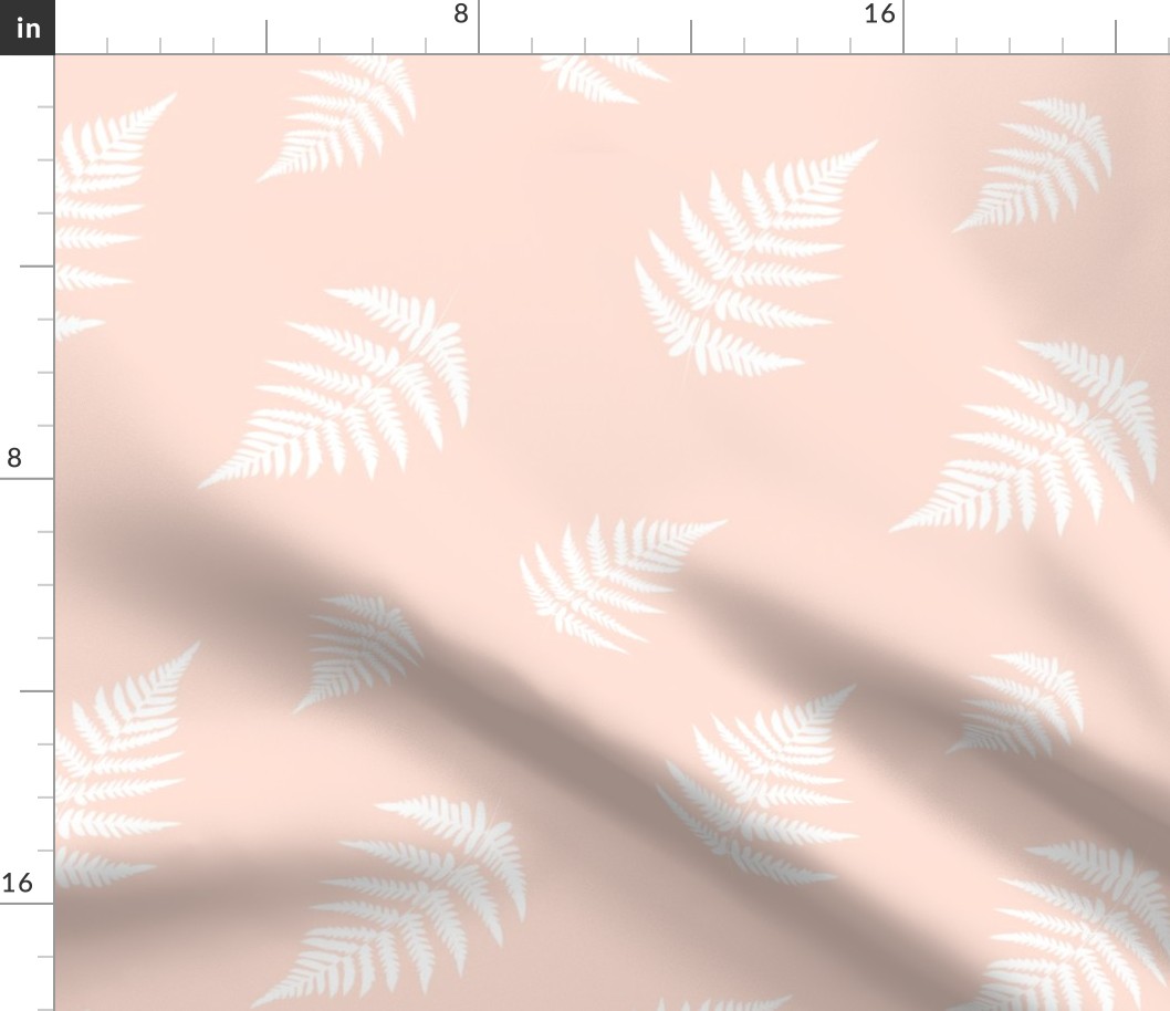 White Fern - Coral Background 