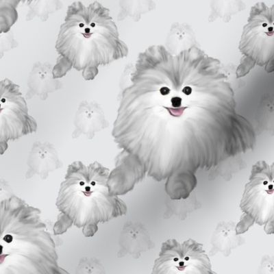 Pomeranian - Shades Grey  4"