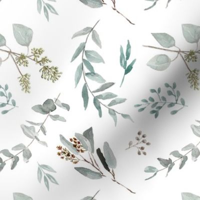 Eucalyptus Leaves Edition 2 || Natives Trees