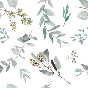 Eucalyptus Leaves Edition 2 || Natives Trees