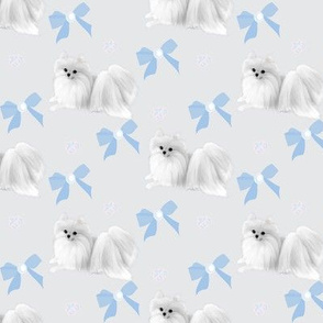 Pomeranian & Bows Blue 2 1/2x1 1/2"