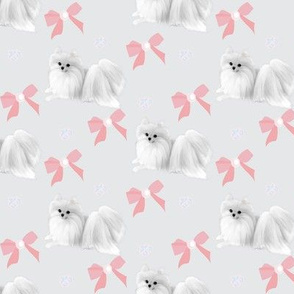 Pomeranian & Bows  Pink 2 1/2 x 1 1/2"