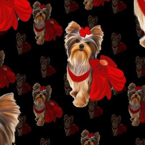 Yorkie Loves Red  4 1/2" size