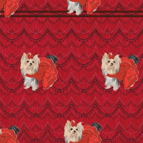 Yorkie - Curtain Up -  Approx 4"