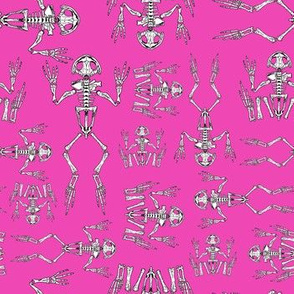 Frog skeleton pink micro print 