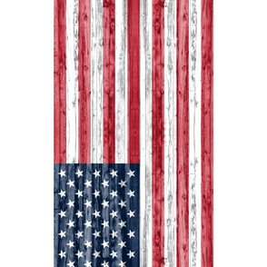1/2 yard Minky - American Flag 