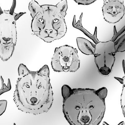 Large Western Animal Faces on White