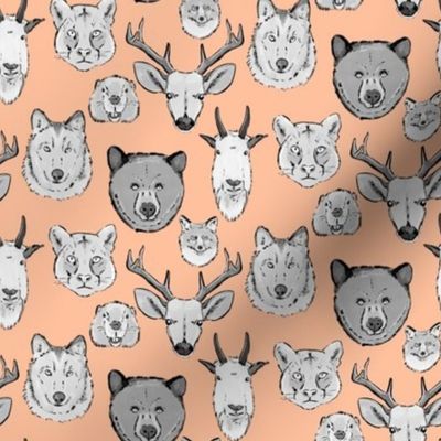 Western Animal Faces on Millennial Pink