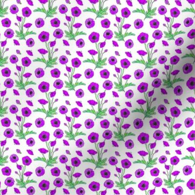 purple poppy repeat 2x2