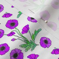 purple poppy repeat 4x4