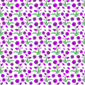 purple poppy repeat 4x4