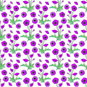 purple poppy repeat 6x6
