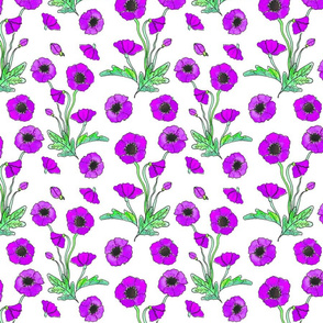 purple poppy repeat