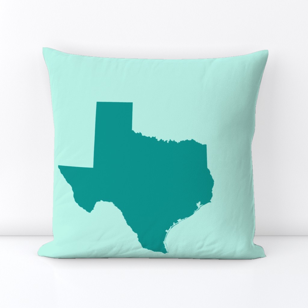 Texas silhouette - 18" teal on mint