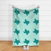 Texas silhouette - 18" teal on mint
