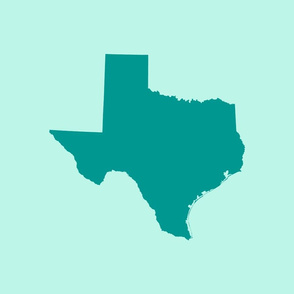 Texas silhouette - 18" teal on mint