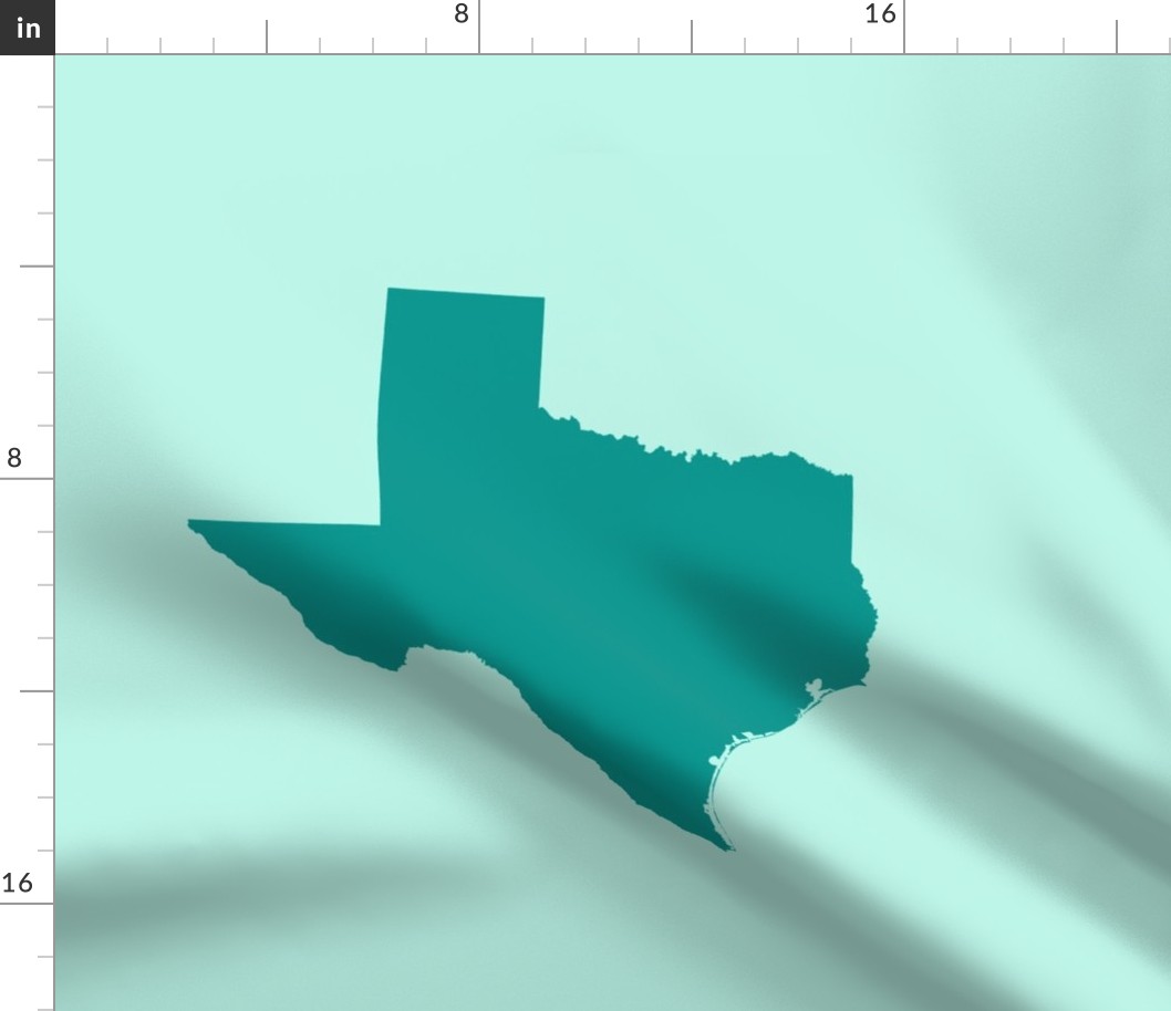 Texas silhouette - 18" teal on mint