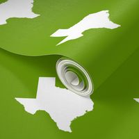Texas silhouette - 6" white on  leaf green