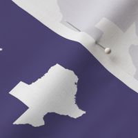 Texas silhouette - 3" white on purple