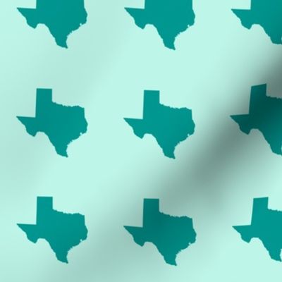 Texas silhouette - 3" teal on mint