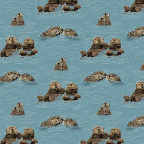 Otter Love  - Challenge 