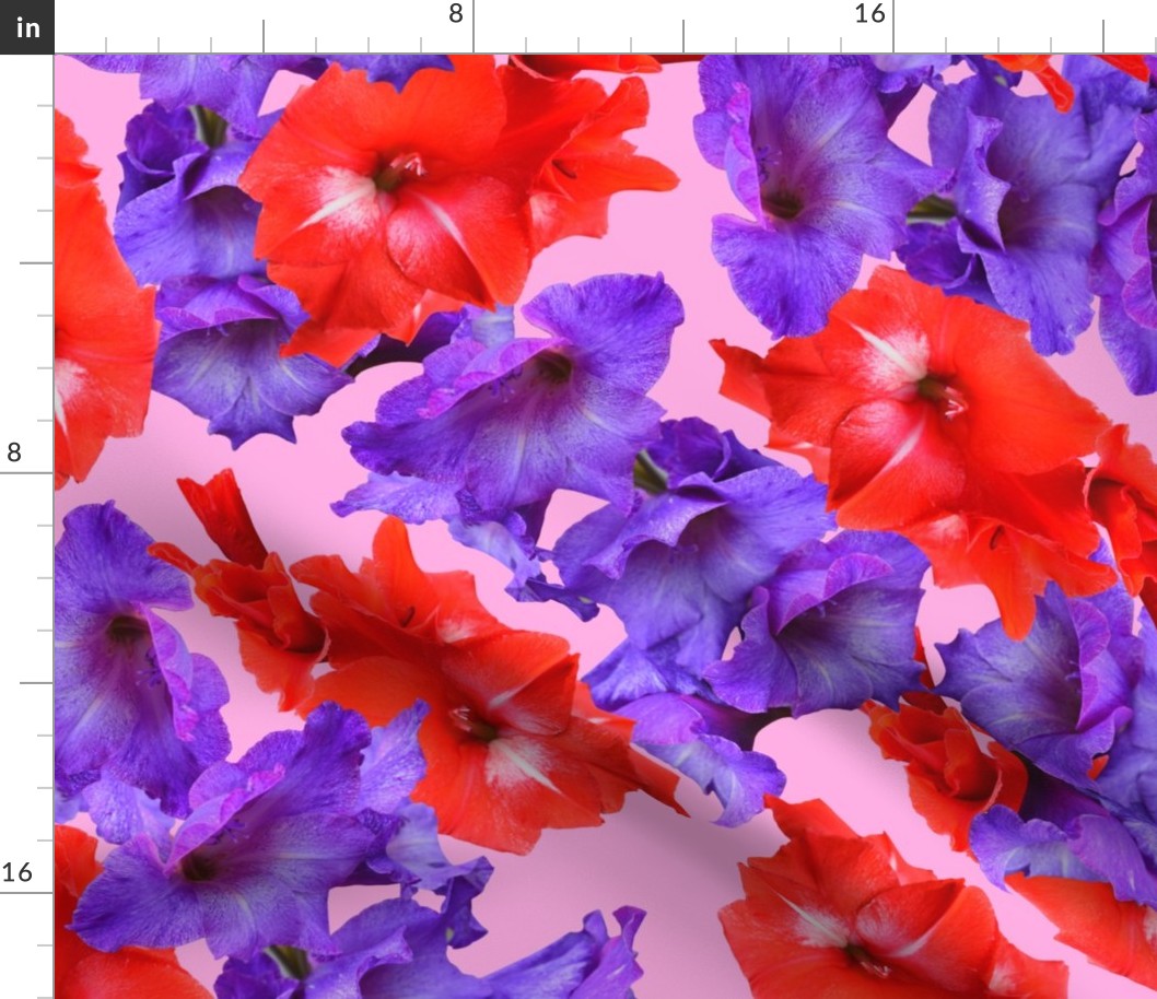 Ultraviolet & Red Gladiolus Pattern