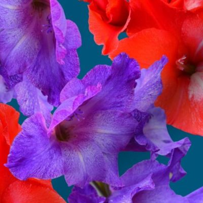 Ultraviolet & Red Gladiolus Pattern