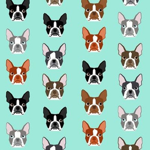 boston terrier heads - boston terrier faces mint cute dog fabric - mint