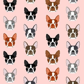 boston terrier heads - boston terrier faces mint cute dog fabric - pale pink