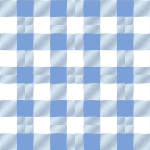 buffalo plaid cornflower blue and white 2"