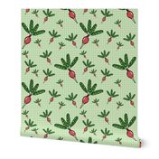 Radish Toss Light Green Gingham - Muted Reds