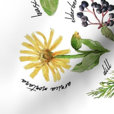 Plants and Herbs Alphabet tea towel
