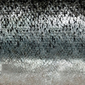 Alaskan Sampler Fish Skin 