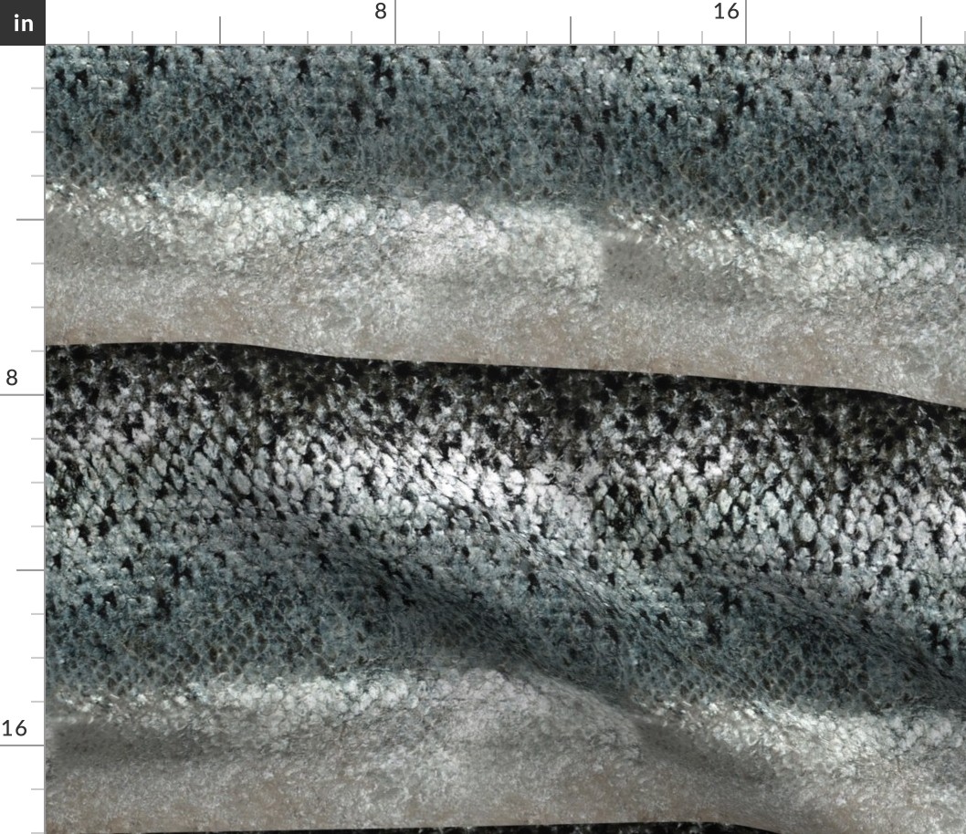 Alaskan Sampler Fish Skin 