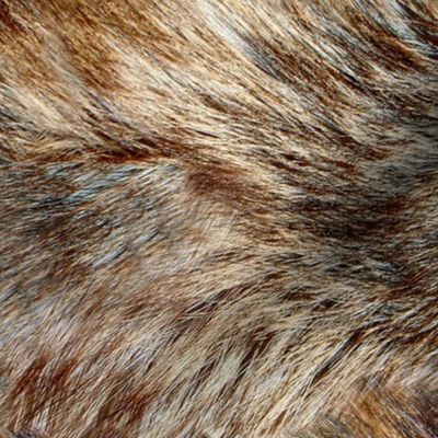 Alaskan Wild Faux Fur LARGE REPEAT