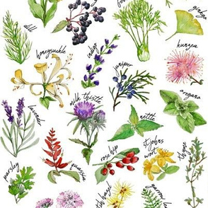 Plants and Herbs Alphabet (small)