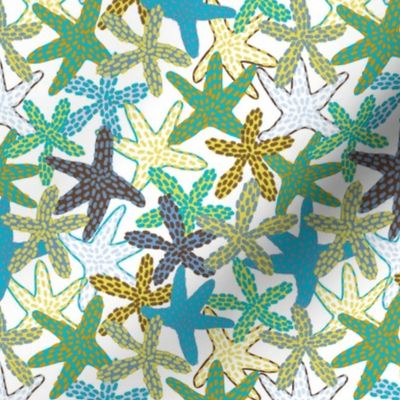 Aqua-Yellow Starfishes Galore (white) 