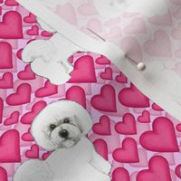 Bichon Frise dogs and pink hearts